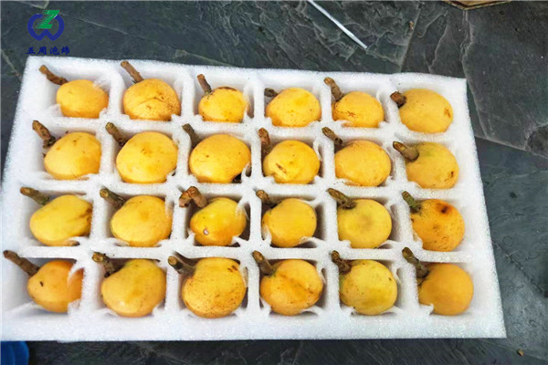枇杷內(nèi)托的制作材料對人體有害嗎？